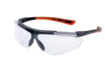 Lucerne Goggle AS/AM Eyewear Protection Clear