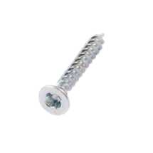 10x2 1/2 Sentinel Security Screw