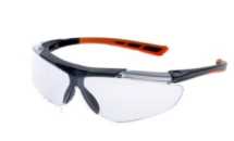 Lucerne Goggle AS/AM Eyewear Protection Clear